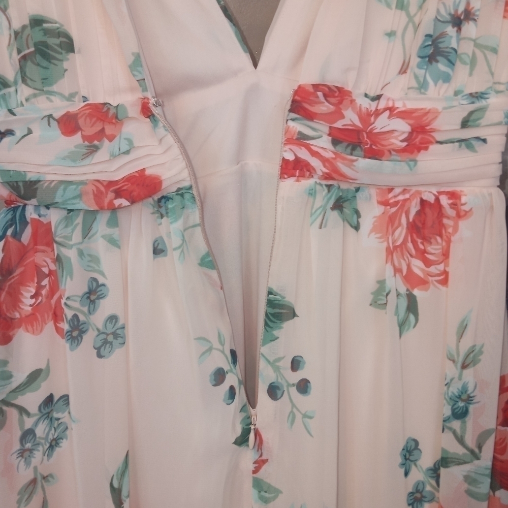 Lulu's Garden Meandering Floral Chiffon Sleeveless Maxi Dress Blush Size Small - Picture 12 of 14